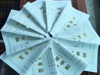 專業(yè)處理內(nèi)資公司注冊與公司名稱核準(zhǔn)服務(wù)